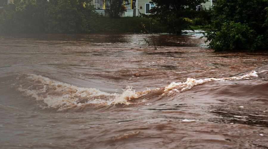 Why choose SwiftNest Pros for water damage restoration in Chino Hills